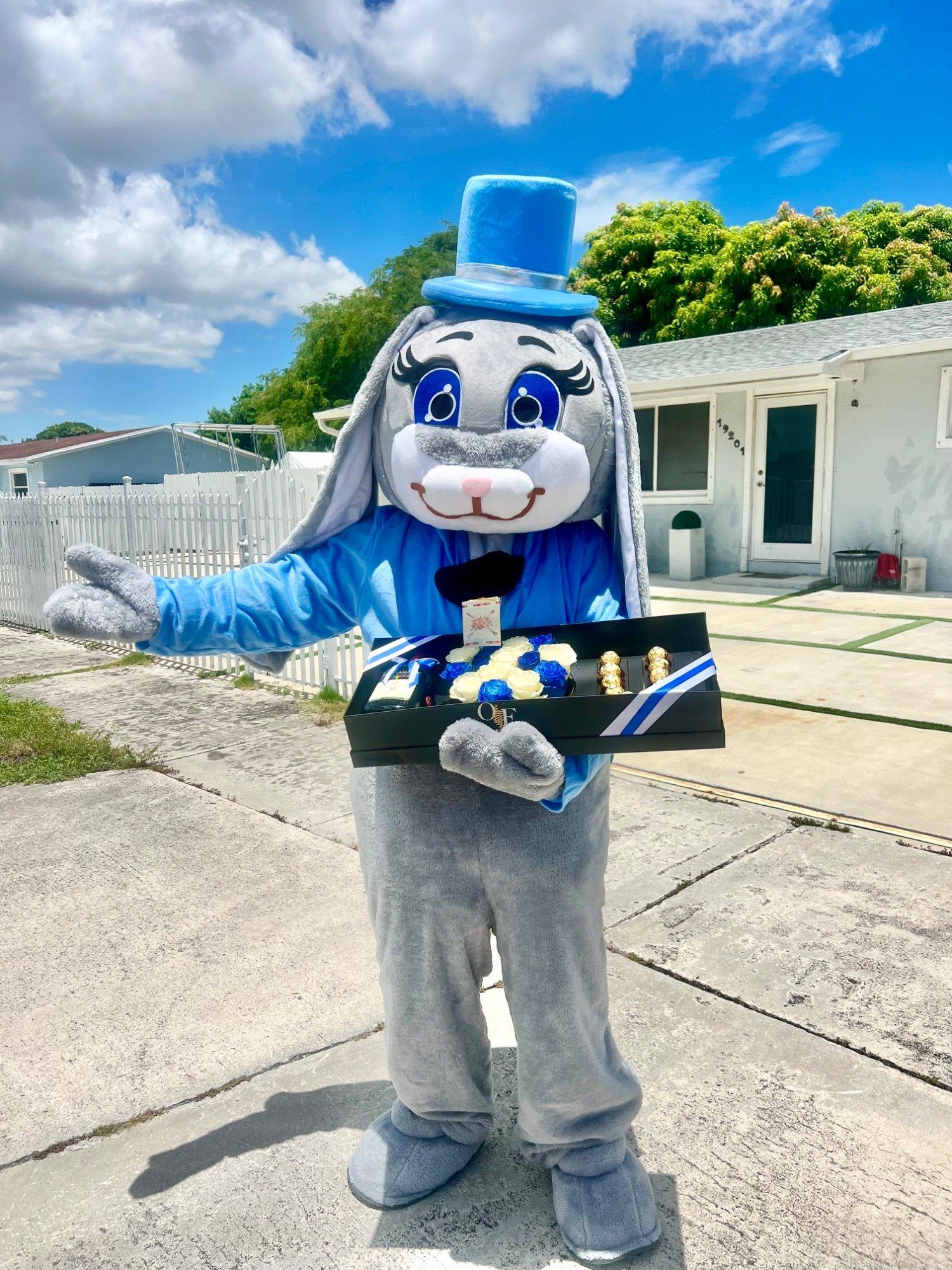 Bluey bunny